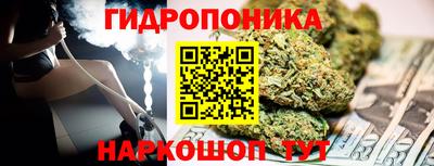 стаф Краснодар