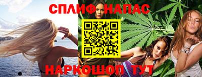 стаф Краснодар