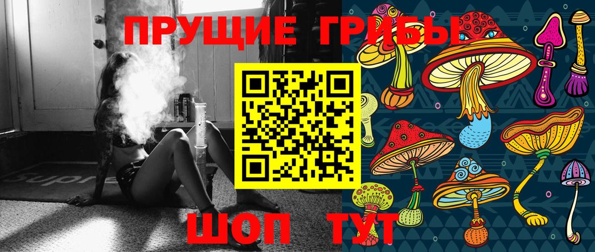 Псилоцибиновые грибы мицелий Красногорск